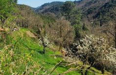 Gîte de Combelebouze en Cévennes - Cosy, Confort et Climatisé - 3 étoiles - Foto 11