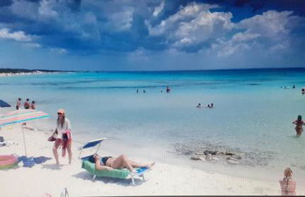 b&b Stella marina torre guaceto - Foto 6