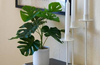 MARX - Zentrales & geräumiges Apartment für bis zu 6 Personen - 2 Schlafzimmer mit TV, WLAN & Waschmaschine - Foto 16