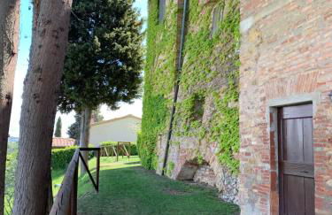 Fattoria Di Pancole - Foto 35