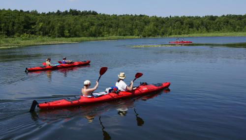 Große Wohnung - Foto 5