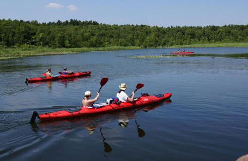Große Wohnung - Foto 5