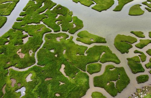 Taigh Marsaili - Foto 41