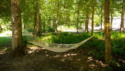 Cricket by the Creek - Creek, Gym, Trails, Kayaks - Foto 4, Garden