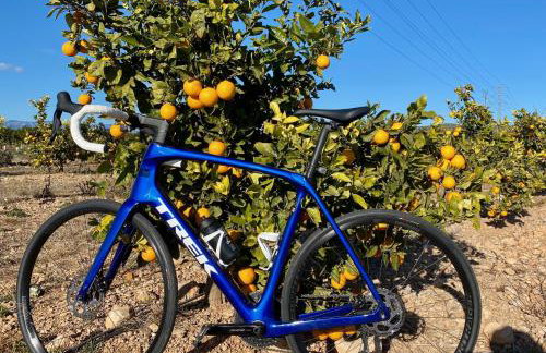 Casita del Toro - Foto 35