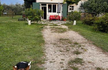 Punta Del Corno Agriturismo - Foto 51