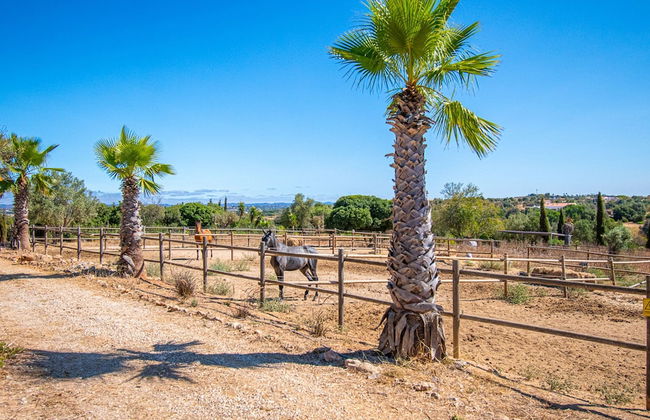 Yoba Horse Farm in Carvoeiro - Foto 4