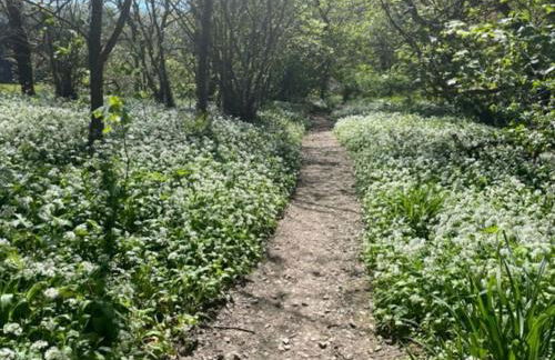 Frankie's Holiday Lodge - Foto 11