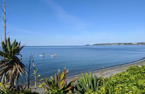 Old Coastguard Cottage with uninterrupted sea views - Foto 16