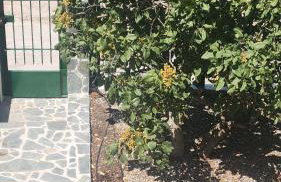 Xeno Bayview Apartment Salamina - Foto 7