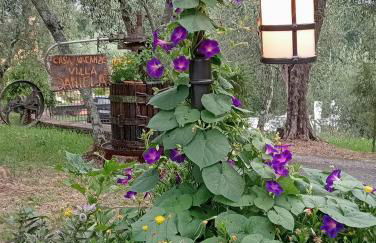 Villa Daniela - Foto 48