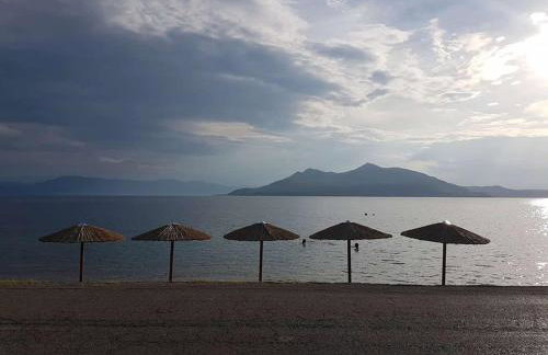 Mamanis Studios - Foto 3