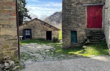 SO MAGIC - La casa nel bosco - Foto 5