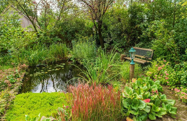 Holiday Home in Reutum With Pond and Trails - Photo 52