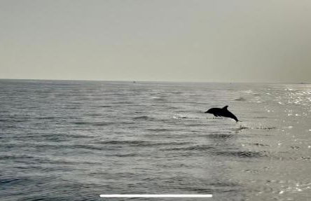 Loc' Maria - Tahiti Beach - Photo 49