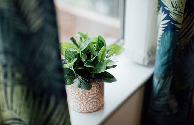 Newly Finished House In Coventry - Foto 12