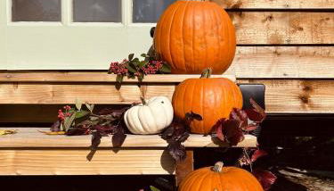 The little shepherds hut - Foto 4