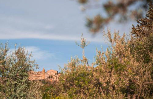 San Carlo a La Molinella - Photo 53