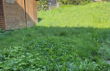 Gemütlich wohnen in Blankenstein am Rennsteig - Foto 28