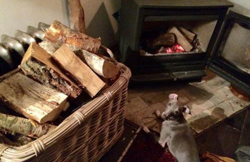 Charming Tudor riverside house - Foto 33