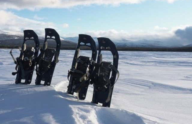 Escursione al Parco Nazionale di Kluane - Foto 4