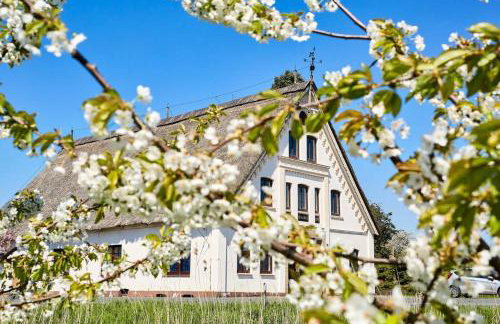 Cityappartement am Kirschberg - Foto 1