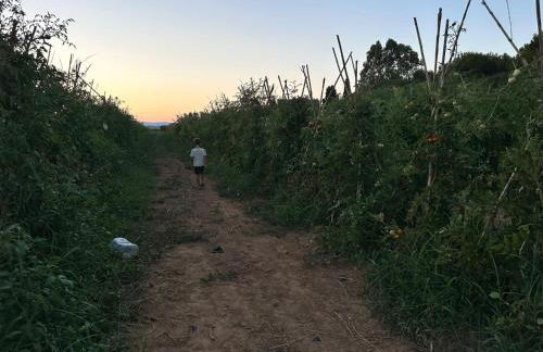 Bajo en Playa Romana Alcossebre - Foto 55