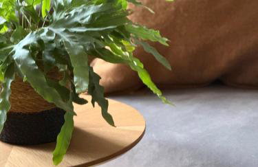 Apartament Centro 63 z bezpłatnym garażem - Foto 9