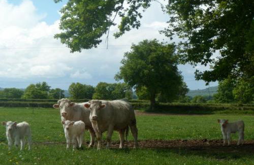 Gîte champêtre avec piscine et Wifi à Souvigny - FR-1-489-231 - Foto 20