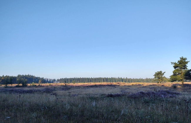 4 Person Holiday Home in Hovborg-by Traum - Foto 12