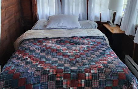 The Wee Cabbage - Foto 24