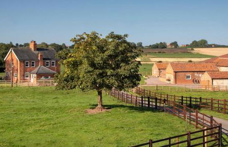 Bainvalley Cottages - Group Accommodation - Foto 4