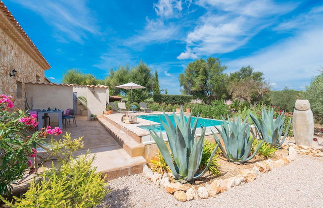 Can Pina - Eco Cascada - - Photo 7