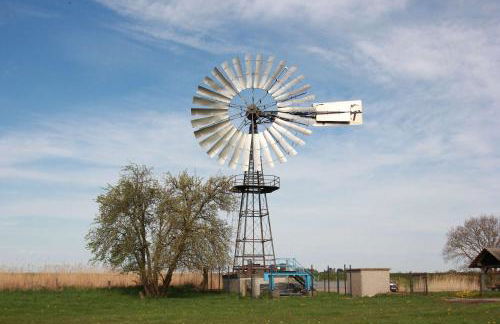 Schicke FeWo mit Terrasse, gratis Nutzung vom AHOI Erlebnisbad und Sauna in Sellin - Haus De niege Wech FeWo 02 - Foto 31