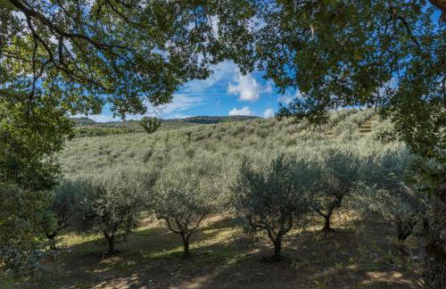 Agriturismo I Getsemani - Photo 53