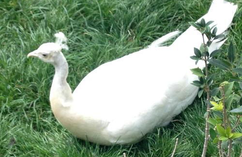 Apartamento Turistico Cigüeña de Arguedas - Foto 50