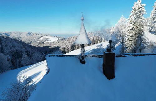 Schwarzwald Chalet - Karlshütte - Photo 9