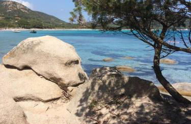 Appartement les pieds dans l'eau - Foto 12