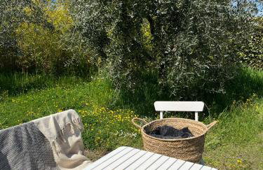 Casa Aldo nel cuore della Toscana - Foto 37