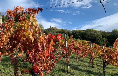 Vineyard Farmhouse in Massignano - Foto 24