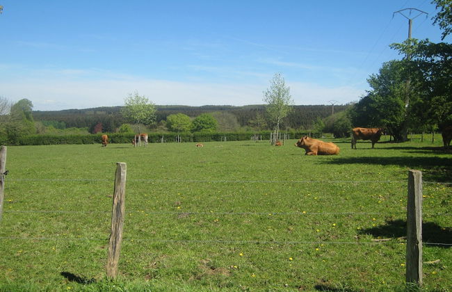 Heritage Holiday Home in Roumont - Foto 39