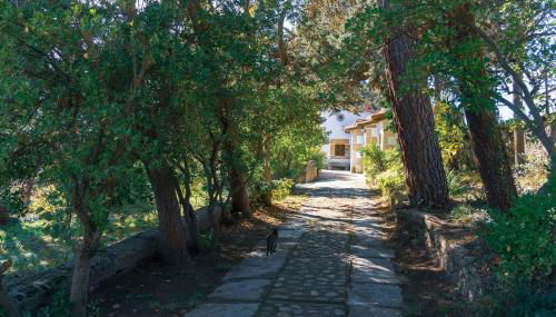 La Higuerilla - Photo 5