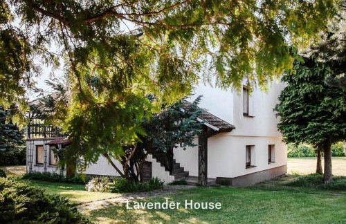 Lavender House - Foto 18