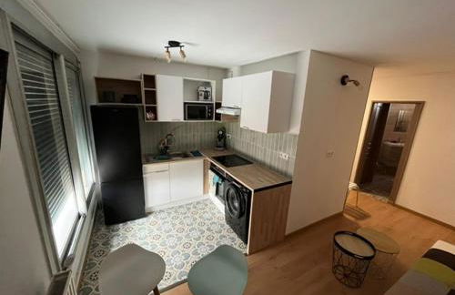 Appartement de 5 chambres à Toulouse - Foto 1