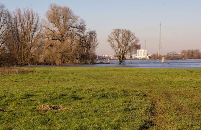 Apartment With Balcony, Neuss - Foto 26