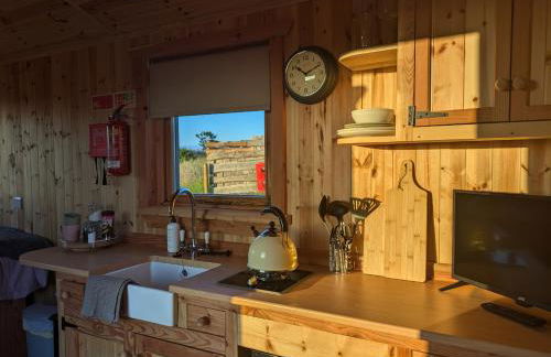 Hafan Gelli Sheperds Hut - Enlli - Photo 4