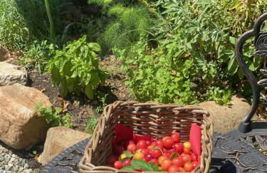 DOLCE VITA IN TUSCANY Cottage - Foto 30