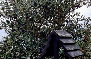 Solar do Prazo - Foto 22