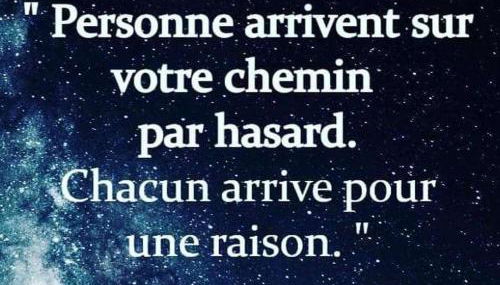 L'Arbre à Graines - Foto 2