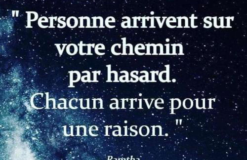 L'Arbre à Graines - Foto 2